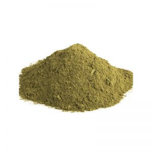 Buy Mescaline Powde