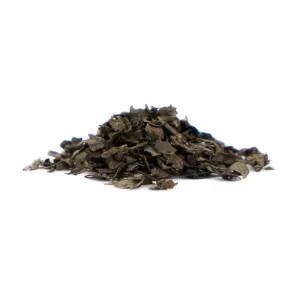 Buy Salvia divinorum